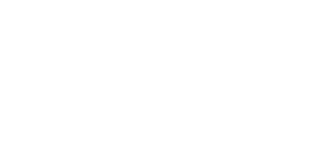 Partnership Logo